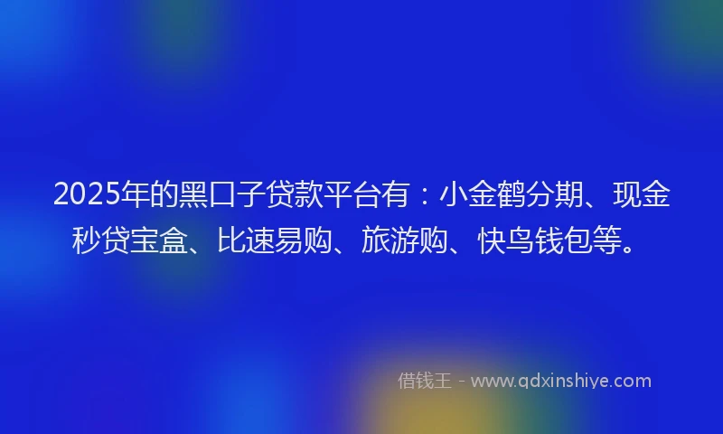 2025年的黑口子贷款平台有：小金鹤分期、现金秒贷宝盒、比速易购、旅游购、快鸟钱包等。