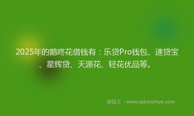 2025年的鹅咚花借钱有：乐贷Pro钱包、速贷宝、星辉贷、天源花、轻花优品等。