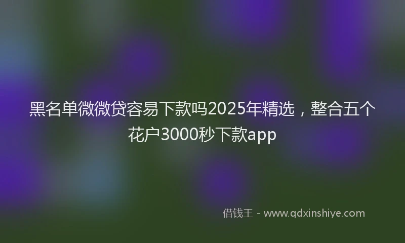 黑名单微微贷容易下款吗2025年精选，整合五个花户3000秒下款app