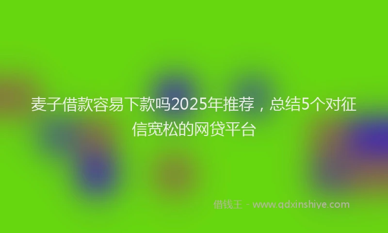 麦子借款容易下款吗2025年推荐，总结5个对征信宽松的网贷平台