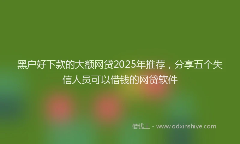 黑户好下款的大额网贷2025年推荐，分享五个失信人员可以借钱的网贷软件