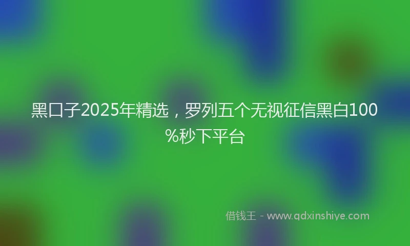黑口子2025年精选，罗列五个无视征信黑白100%秒下平台