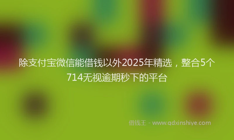 除支付宝微信能借钱以外2025年精选，整合5个714无视逾期秒下的平台