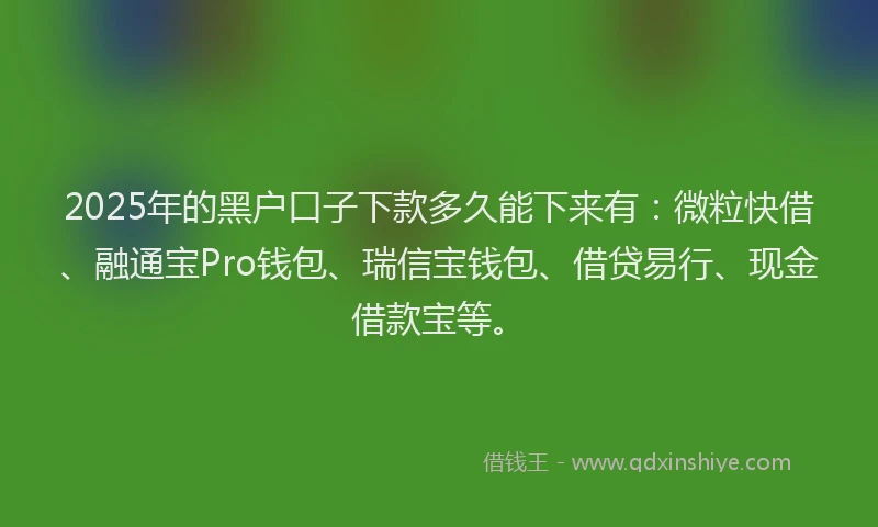 2025年的黑户口子下款多久能下来有：微粒快借、融通宝Pro钱包、瑞信宝钱包、借贷易行、现金借款宝等。