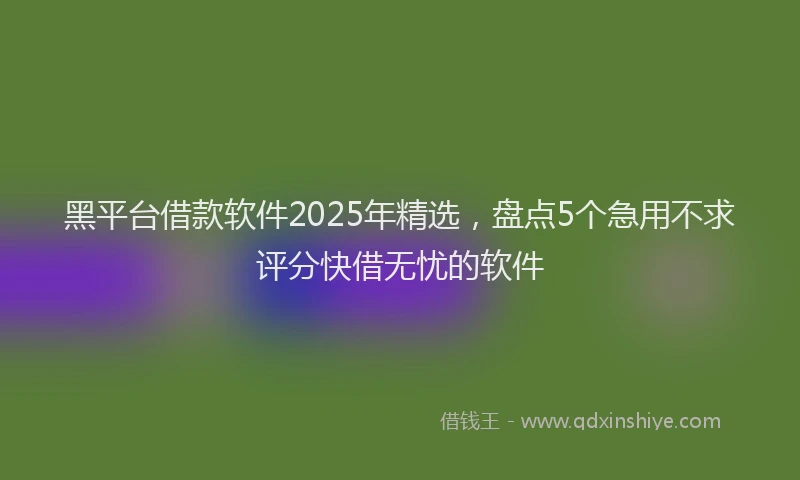 黑平台借款软件2025年精选，盘点5个急用不求评分快借无忧的软件