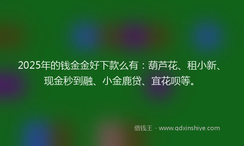 2025年的钱金金好下款么有：葫芦花、租小新、现金秒到融、小金鹿贷、宜花呗等。