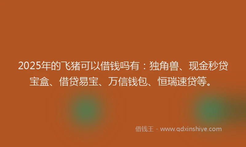 2025年的飞猪可以借钱吗有：独角兽、现金秒贷宝盒、借贷易宝、万信钱包、恒瑞速贷等。