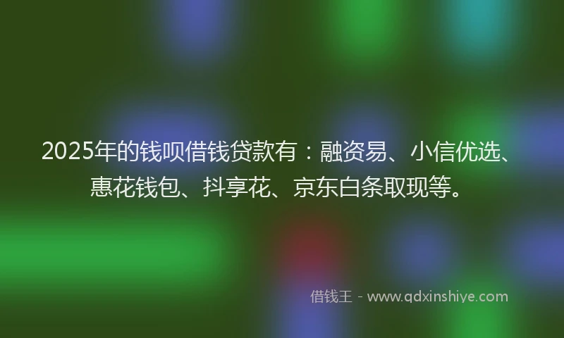 2025年的钱呗借钱贷款有：融资易、小信优选、惠花钱包、抖享花、京东白条取现等。