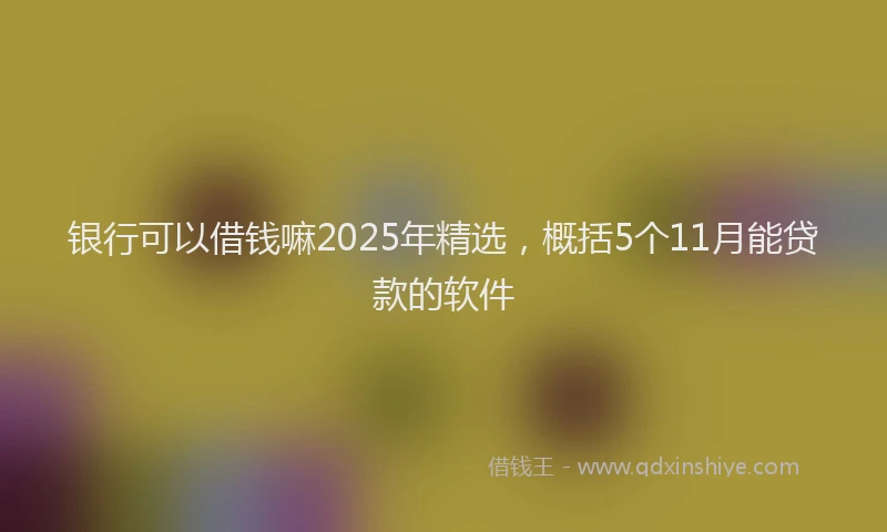 银行可以借钱嘛2025年精选，概括5个11月能贷款的软件