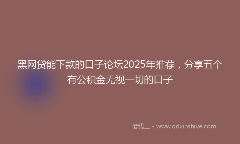 黑网贷能下款的口子论坛2025年推荐，分享五个有公积金无视一切的口子