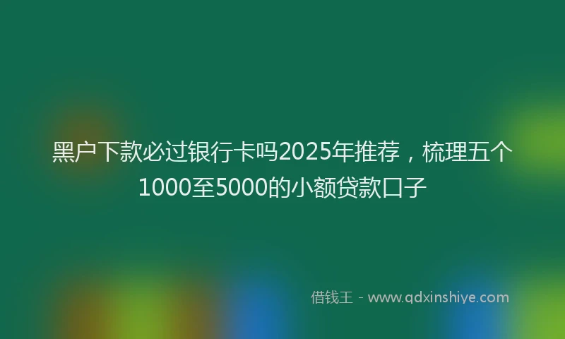 黑户下款必过银行卡吗2025年推荐，梳理五个1000至5000的小额贷款口子