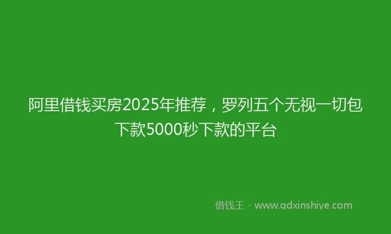 阿里借钱买房2025年推荐，罗列五个无视一切包下款5000秒下款的平台