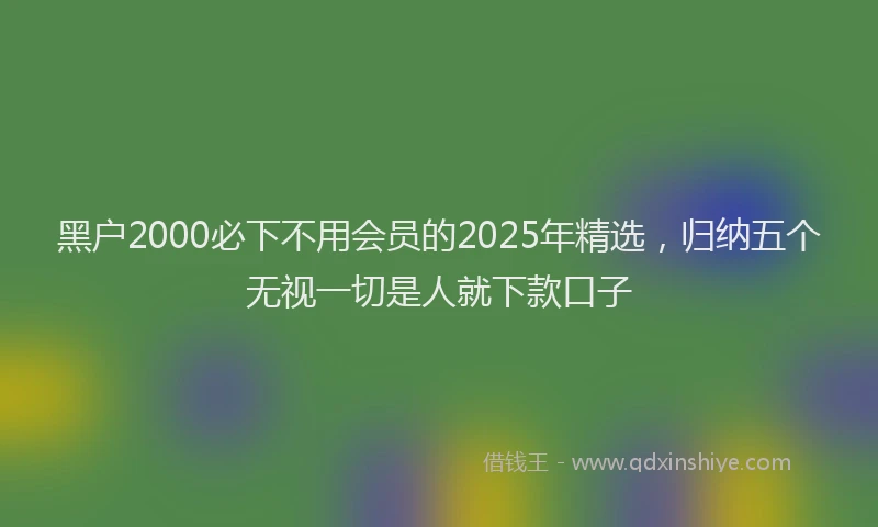 黑户2000必下不用会员的2025年精选，归纳五个无视一切是人就下款口子