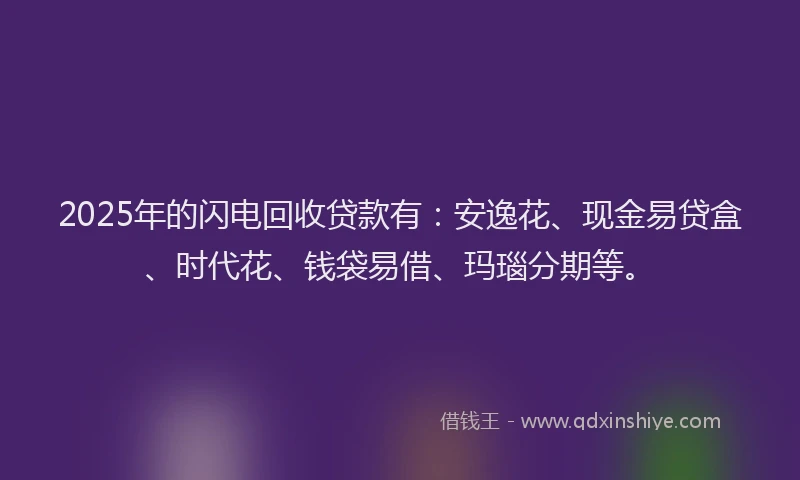 2025年的闪电回收贷款有：安逸花、现金易贷盒、时代花、钱袋易借、玛瑙分期等。