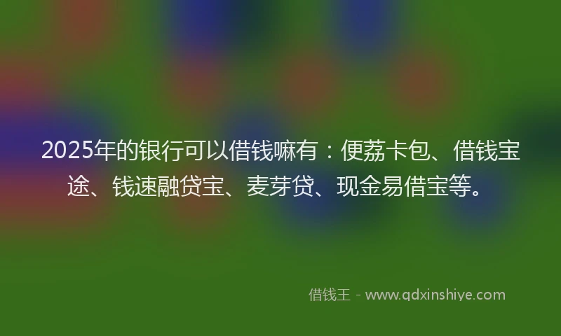 2025年的银行可以借钱嘛有：便荔卡包、借钱宝途、钱速融贷宝、麦芽贷、现金易借宝等。