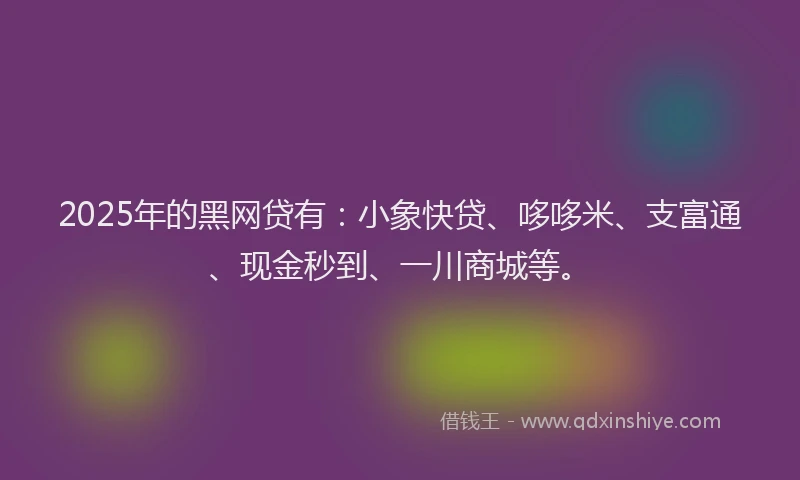 2025年的黑网贷有：小象快贷、哆哆米、支富通、现金秒到、一川商城等。