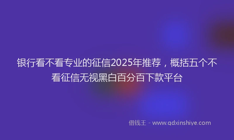 银行看不看专业的征信2025年推荐，概括五个不看征信无视黑白百分百下款平台