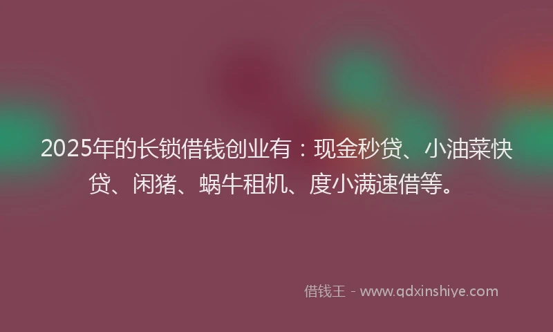 2025年的长锁借钱创业有：现金秒贷、小油菜快贷、闲猪、蜗牛租机、度小满速借等。