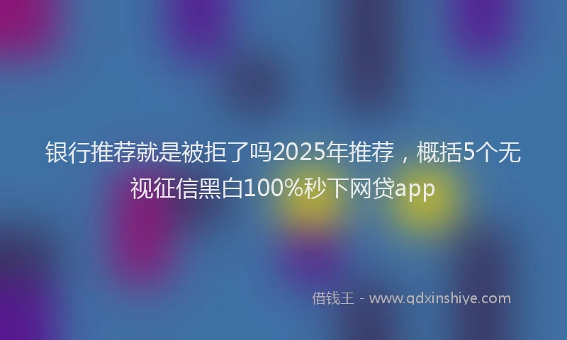 银行推荐就是被拒了吗2025年推荐，概括5个无视征信黑白100%秒下网贷app