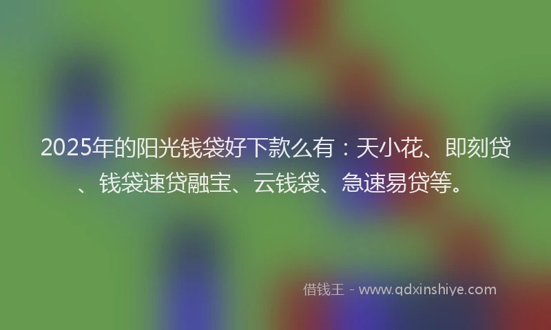 2025年的阳光钱袋好下款么有：天小花、即刻贷、钱袋速贷融宝、云钱袋、急速易贷等。