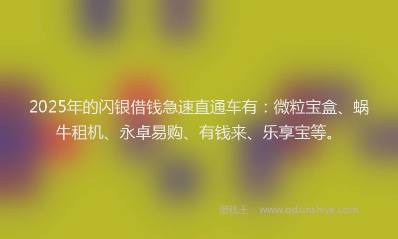 2025年的闪银借钱急速直通车有：微粒宝盒、蜗牛租机、永卓易购、有钱来、乐享宝等。