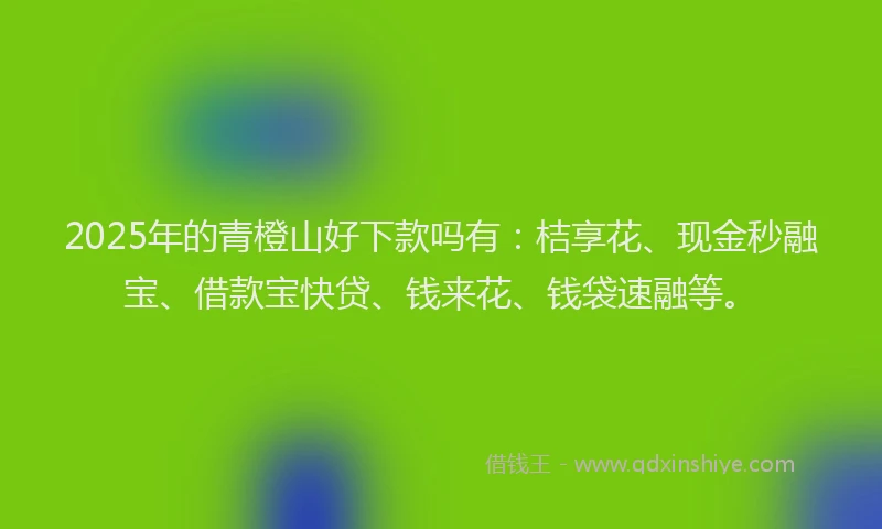 2025年的青橙山好下款吗有：桔享花、现金秒融宝、借款宝快贷、钱来花、钱袋速融等。