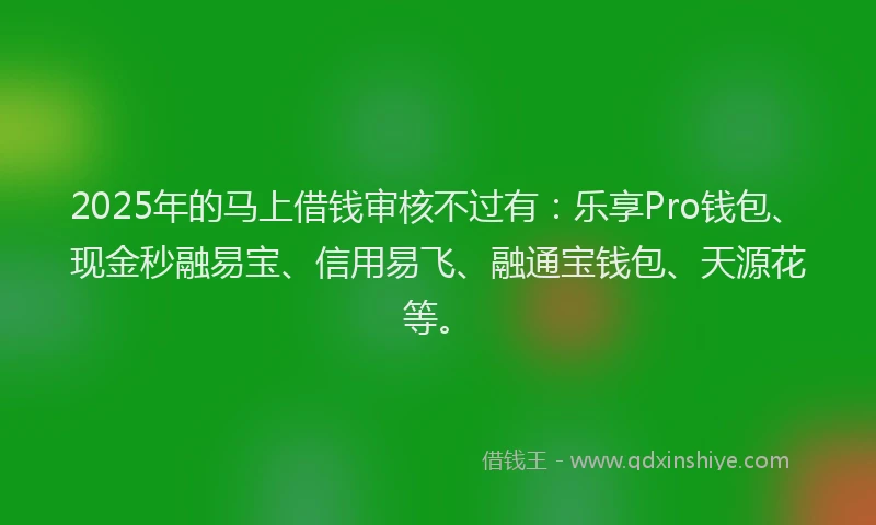 2025年的马上借钱审核不过有：乐享Pro钱包、现金秒融易宝、信用易飞、融通宝钱包、天源花等。