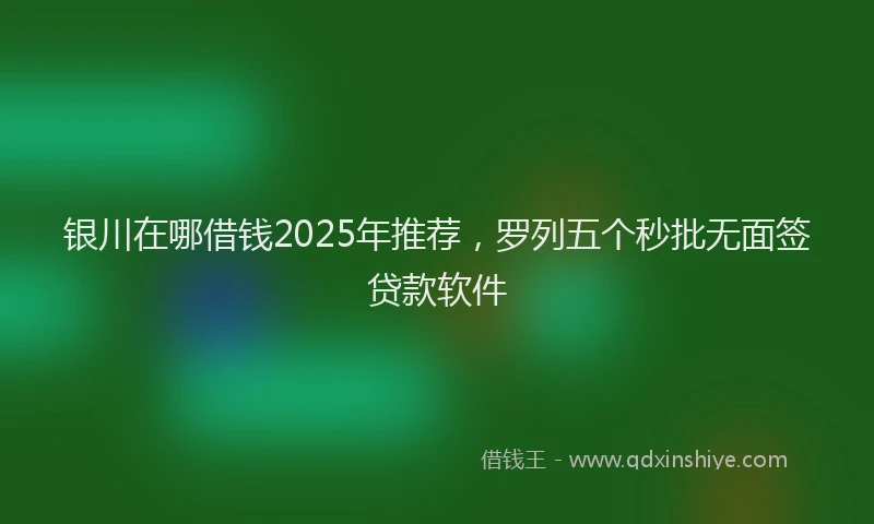 银川在哪借钱2025年推荐，罗列五个秒批无面签贷款软件