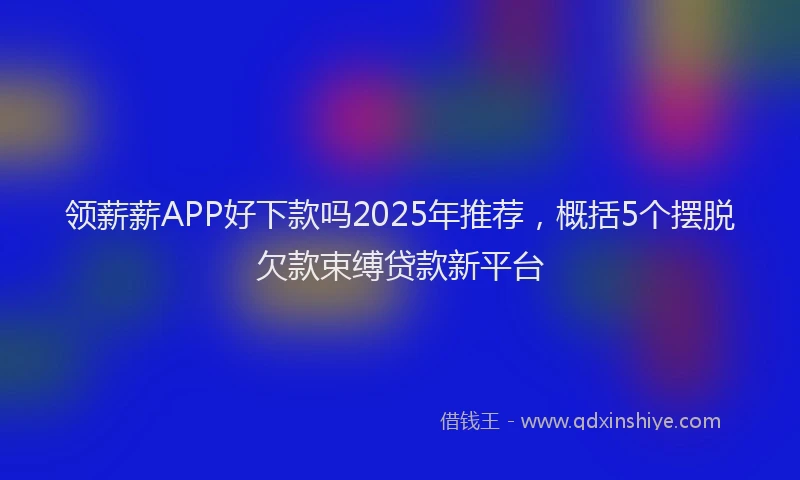 领薪薪APP好下款吗2025年推荐，概括5个摆脱欠款束缚贷款新平台