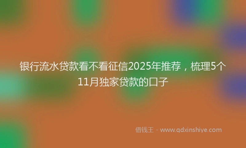 银行流水贷款看不看征信2025年推荐，梳理5个11月独家贷款的口子