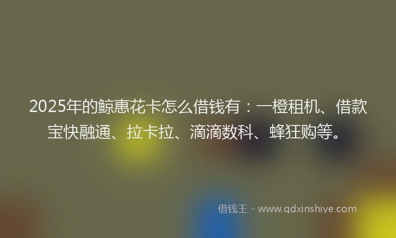2025年的鲸惠花卡怎么借钱有：一橙租机、借款宝快融通、拉卡拉、滴滴数科、蜂狂购等。