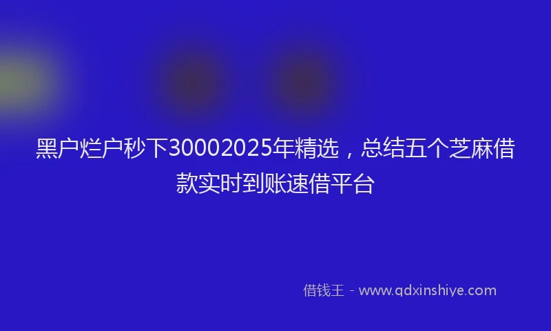黑户烂户秒下30002025年精选，总结五个芝麻借款实时到账速借平台
