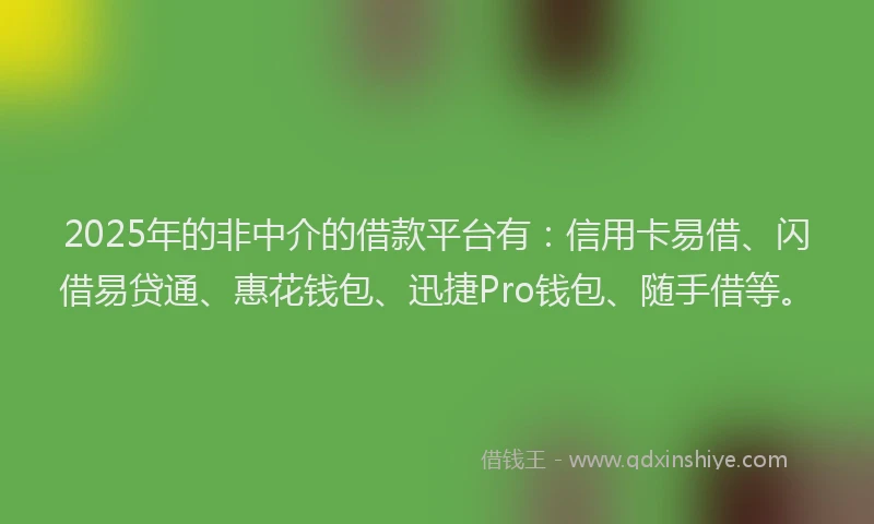 2025年的非中介的借款平台有：信用卡易借、闪借易贷通、惠花钱包、迅捷Pro钱包、随手借等。