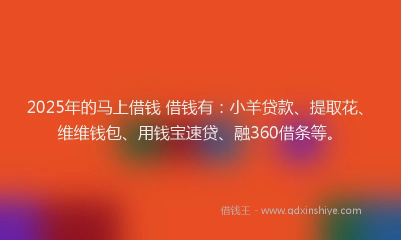 2025年的马上借钱 借钱有：小羊贷款、提取花、维维钱包、用钱宝速贷、融360借条等。