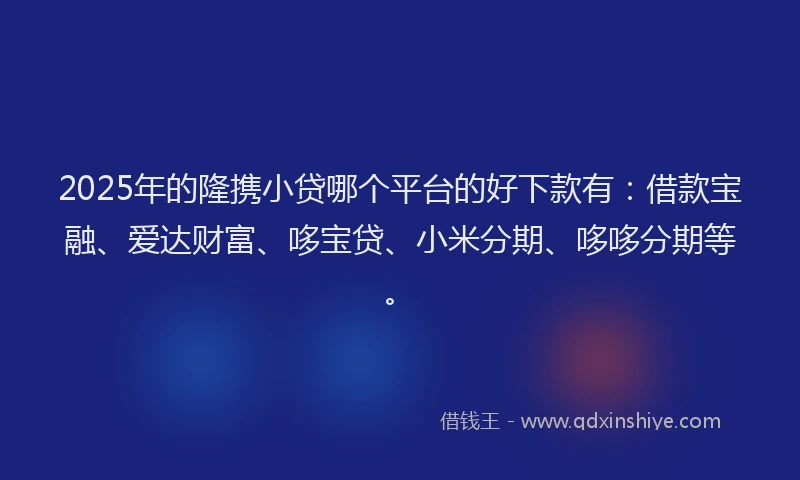 2025年的隆携小贷哪个平台的好下款有：借款宝融、爱达财富、哆宝贷、小米分期、哆哆分期等。