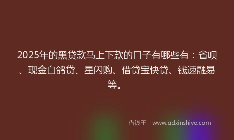 2025年的黑贷款马上下款的口子有哪些有：省呗、现金白鸽贷、星闪购、借贷宝快贷、钱速融易等。