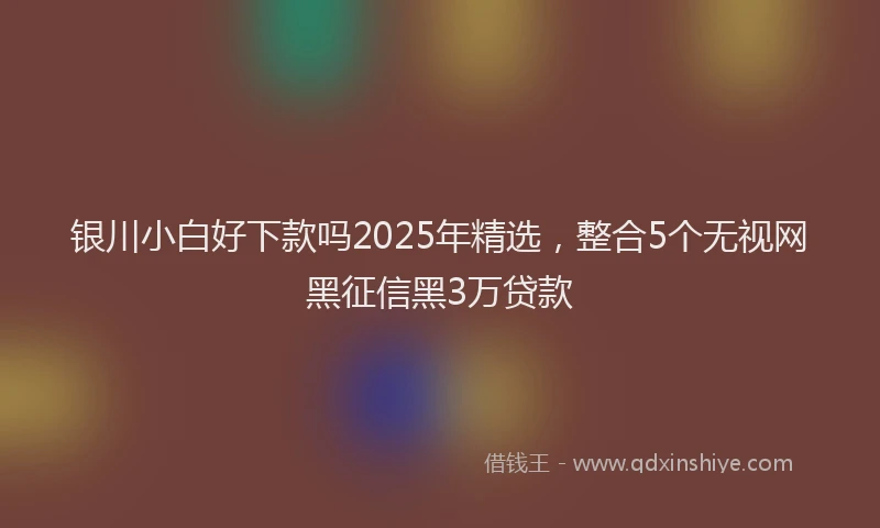 银川小白好下款吗2025年精选，整合5个无视网黑征信黑3万贷款