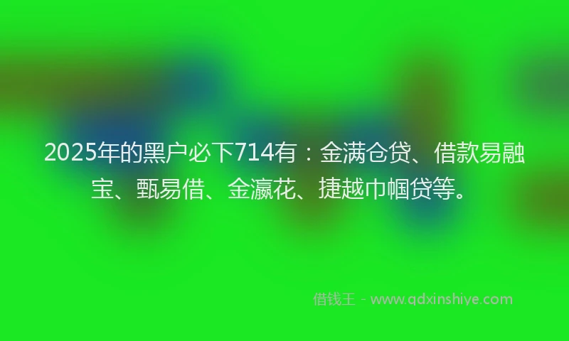 2025年的黑户必下714有：金满仓贷、借款易融宝、甄易借、金瀛花、捷越巾帼贷等。