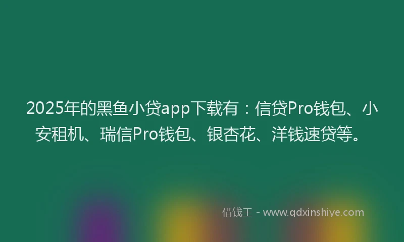 2025年的黑鱼小贷app下载有：信贷Pro钱包、小安租机、瑞信Pro钱包、银杏花、洋钱速贷等。