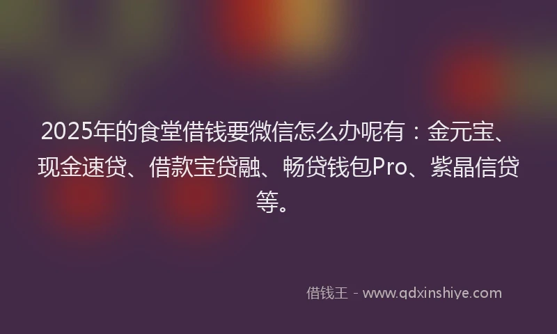 2025年的食堂借钱要微信怎么办呢有：金元宝、现金速贷、借款宝贷融、畅贷钱包Pro、紫晶信贷等。