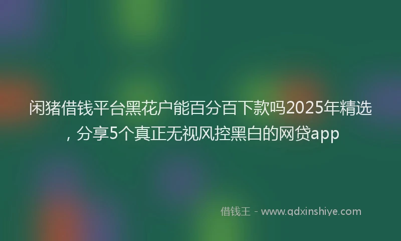 闲猪借钱平台黑花户能百分百下款吗2025年精选，分享5个真正无视风控黑白的网贷app