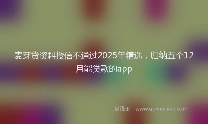 麦芽贷资料授信不通过2025年精选，归纳五个12月能贷款的app