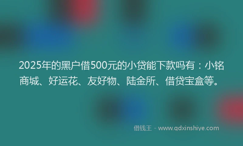 2025年的黑户借500元的小贷能下款吗有：小铭商城、好运花、友好物、陆金所、借贷宝盒等。