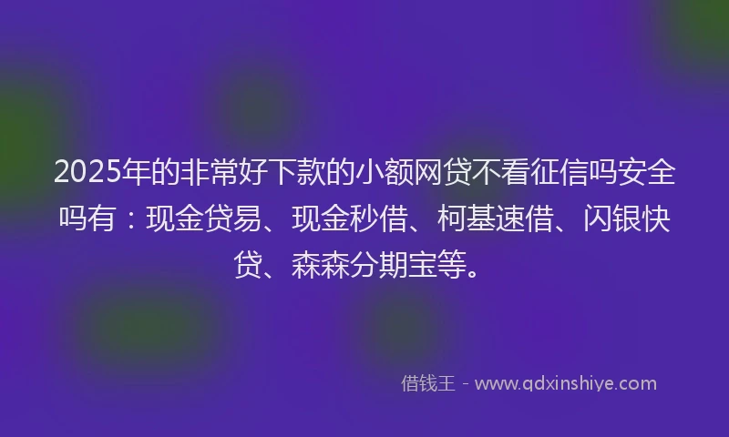 2025年的非常好下款的小额网贷不看征信吗安全吗有：现金贷易、现金秒借、柯基速借、闪银快贷、森森分期宝等。