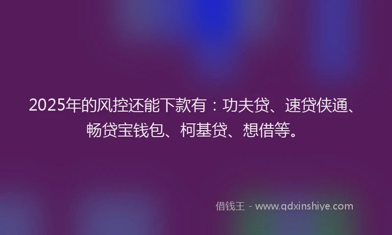 2025年的风控还能下款有：功夫贷、速贷侠通、畅贷宝钱包、柯基贷、想借等。