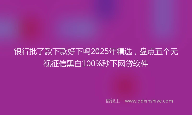 银行批了款下款好下吗2025年精选，盘点五个无视征信黑白100%秒下网贷软件