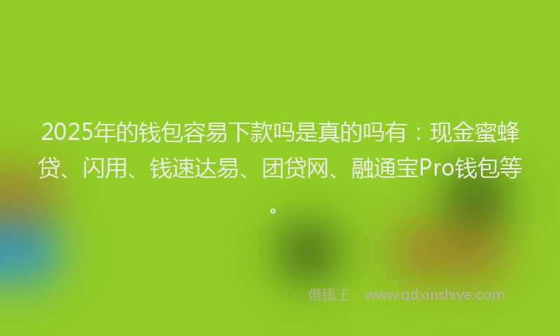 2025年的钱包容易下款吗是真的吗有：现金蜜蜂贷、闪用、钱速达易、团贷网、融通宝Pro钱包等。
