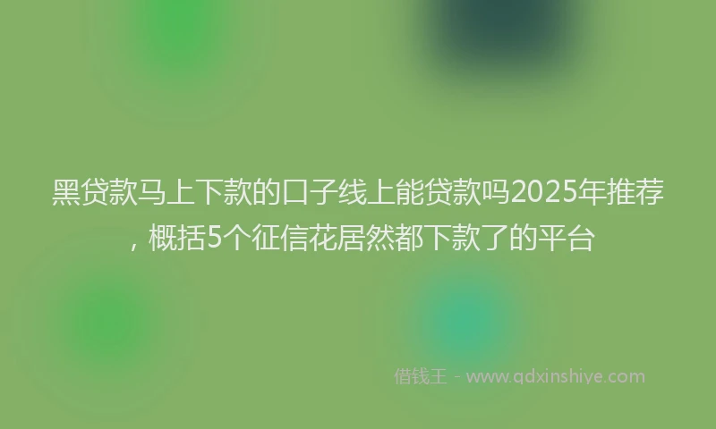 黑贷款马上下款的口子线上能贷款吗2025年推荐，概括5个征信花居然都下款了的平台