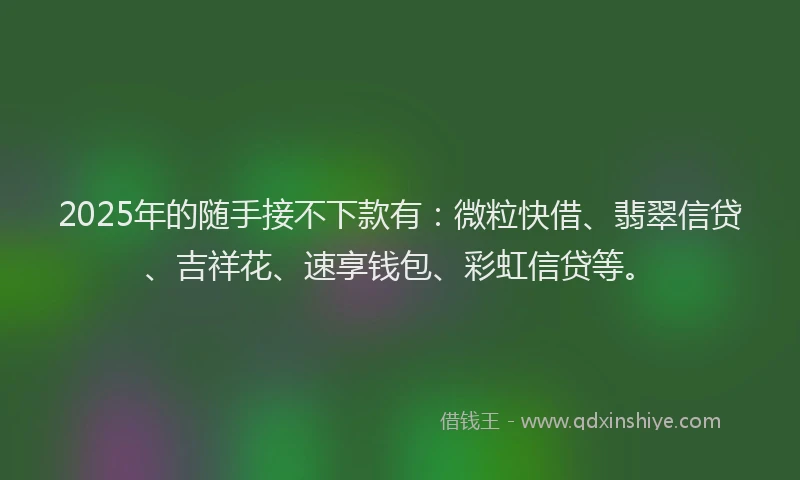 2025年的随手接不下款有：微粒快借、翡翠信贷、吉祥花、速享钱包、彩虹信贷等。