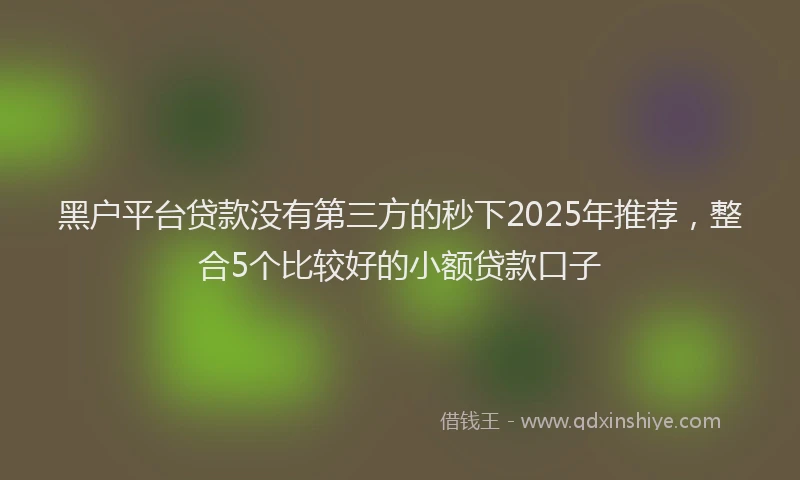黑户平台贷款没有第三方的秒下2025年推荐，整合5个比较好的小额贷款口子